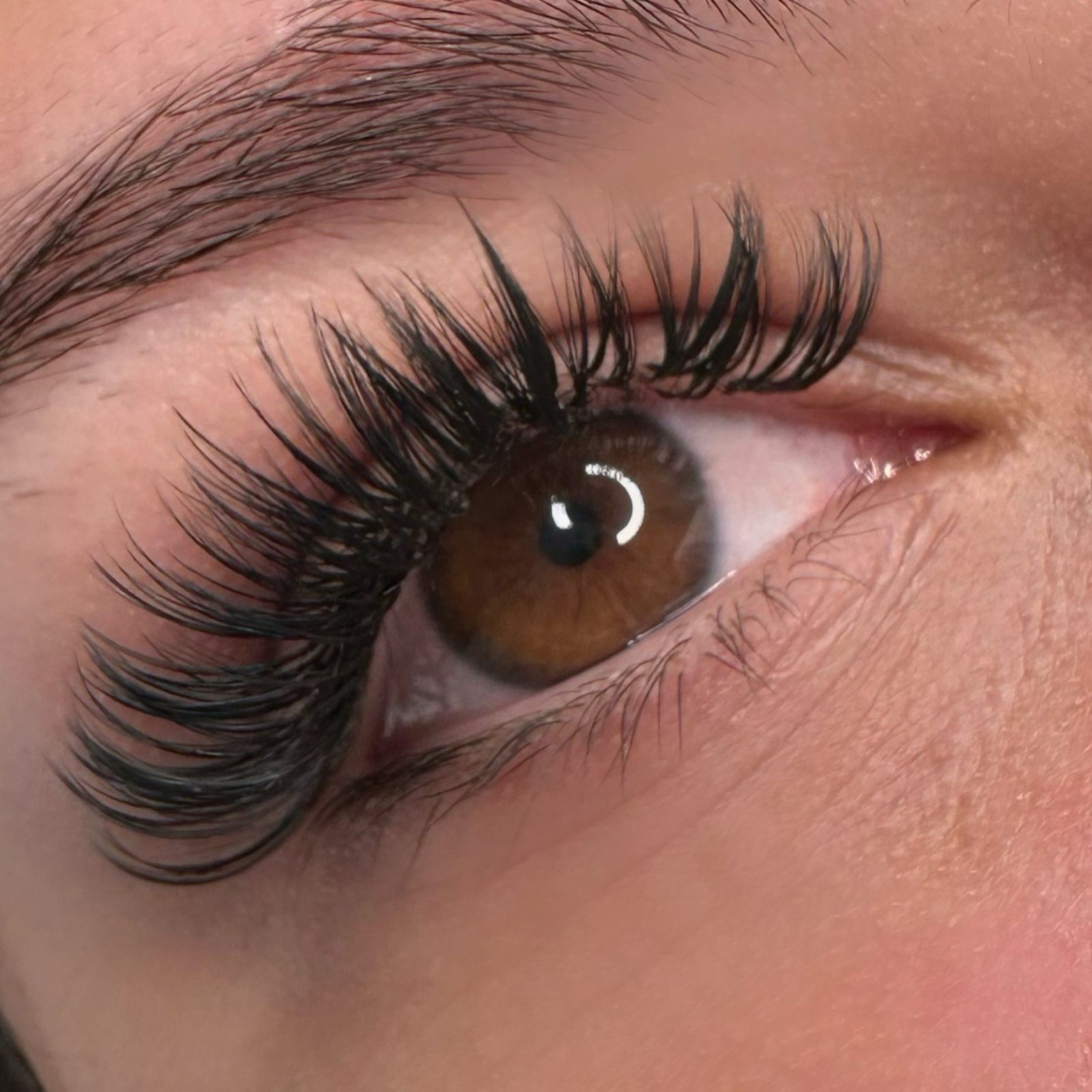 Nahaufnahme einer Volumen-Wimpernverlängerung an einem braunen Auge